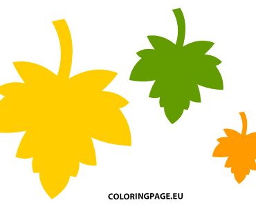 colorful maple leaves