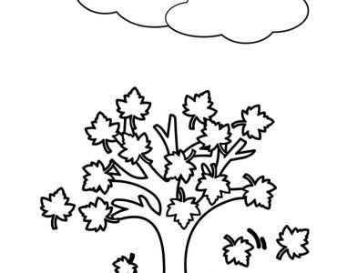 leaves fall tree