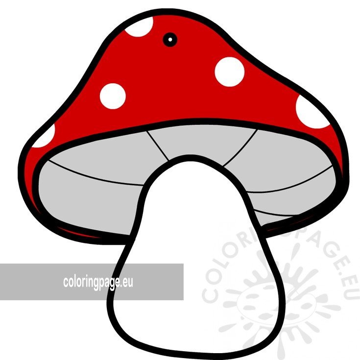 red white mushroom