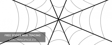 spider web tracing