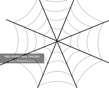 spider web tracing