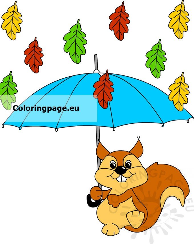squirrel umbrella2