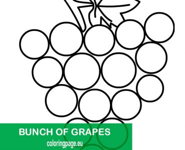 bunch grapes outline