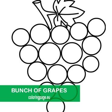 Printable Bunch of grapes outline – Coloring Page