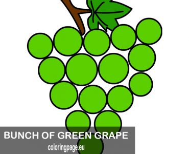 bunch green grape