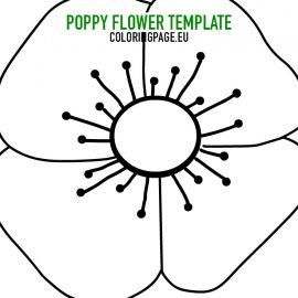 Free printable Poppy flower | Coloring Page