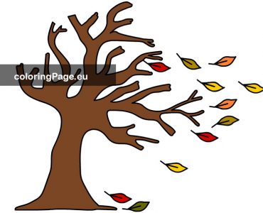 wind blown leaves