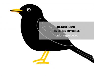 Blackbird21