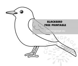 Blackbird for kids coloring page | Coloring Page