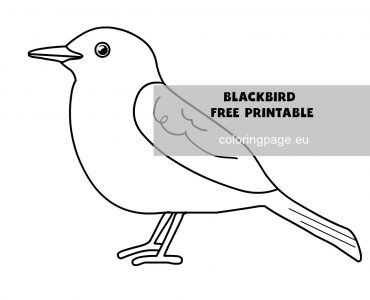 blackbird