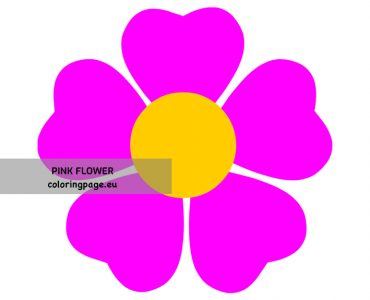 pink flower vector