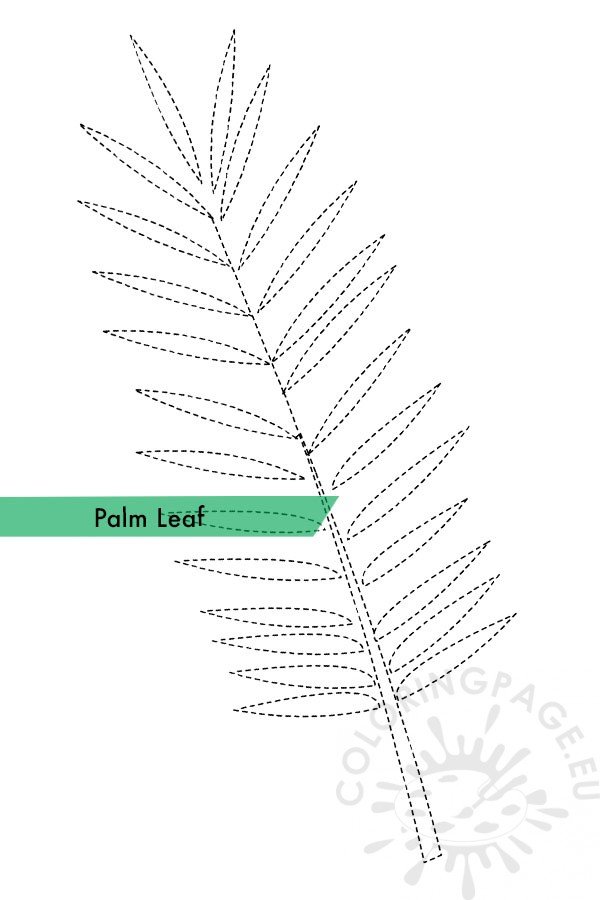 Palm Leaf Tracing Page Coloring Page