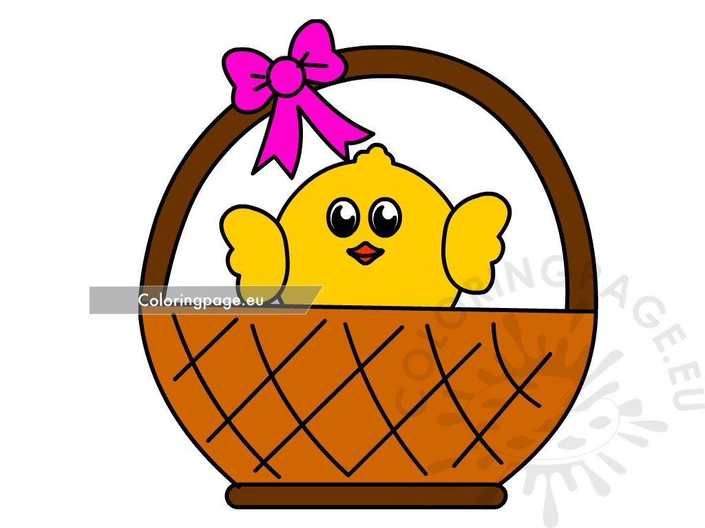 chick basket