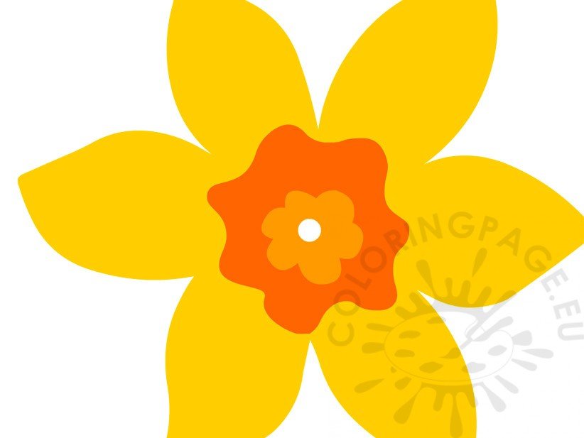 Daffodil Flower Yellow printable Coloring Page
