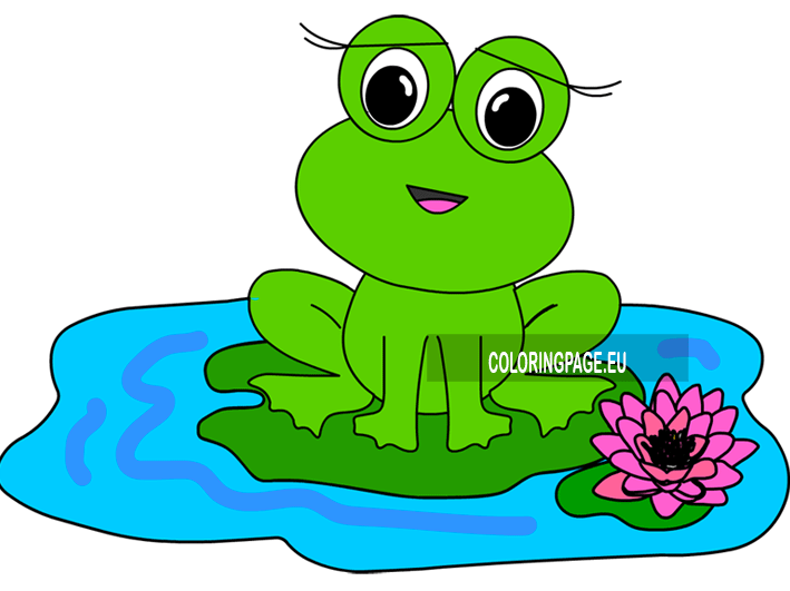 frog water lily