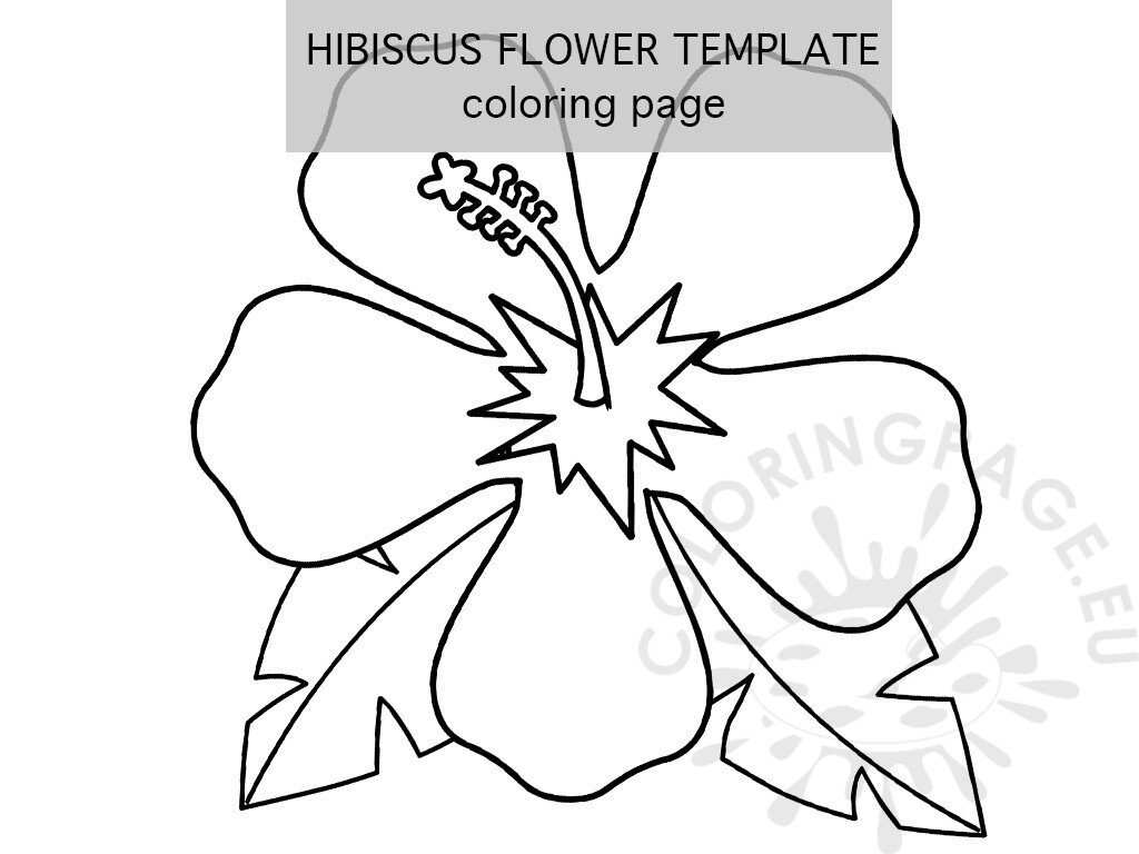 Hibiscus Flower Petal Template Printable