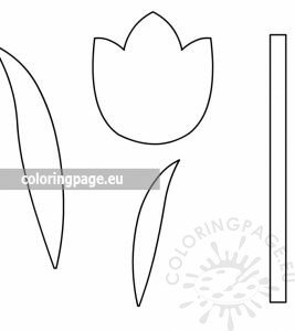 Paper Tulip Craft Template | Coloring Page