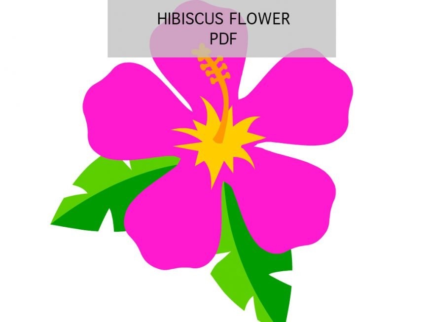 Printable Pink hibiscus flower | Coloring Page