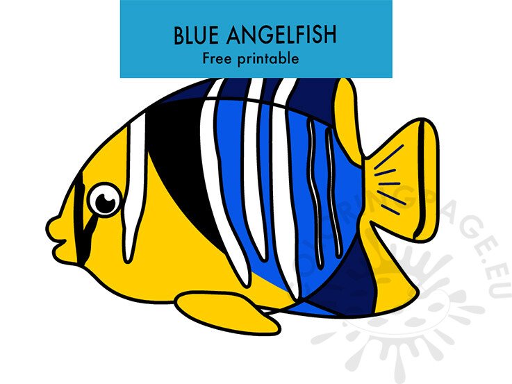 blue angelfish