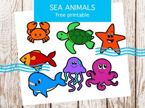 Colorful sea animals printable | Coloring Page