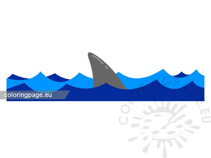 shark fin waves