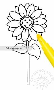 Sunflower with stem and leaves | Coloring Page