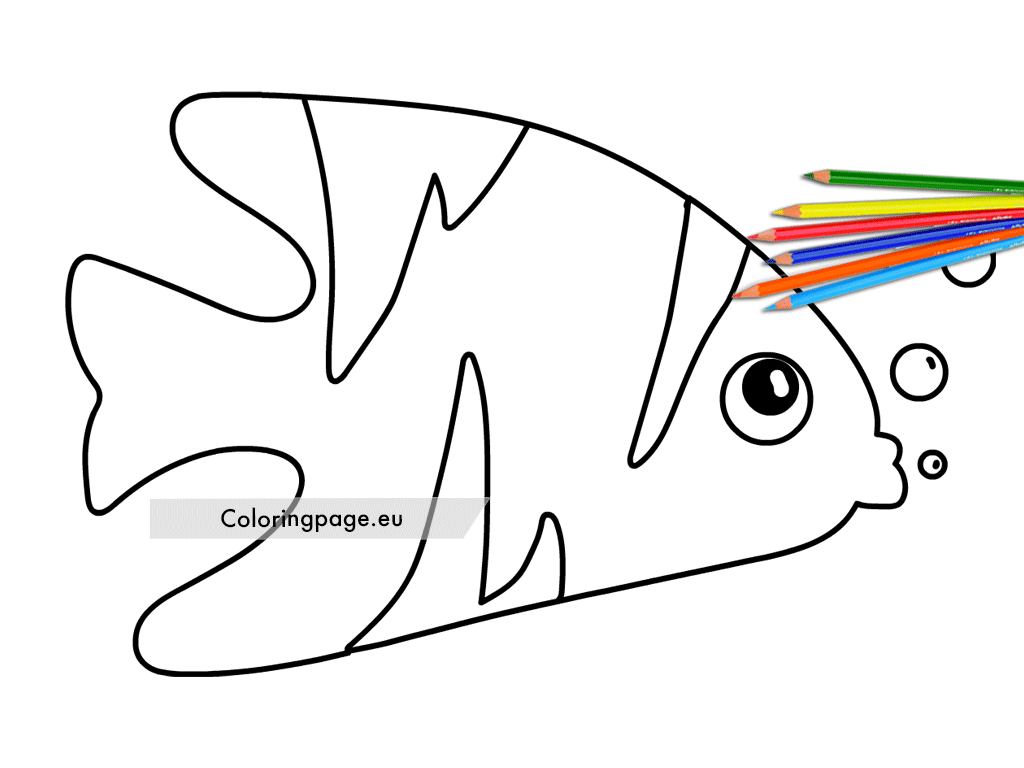 tropical fish coloring