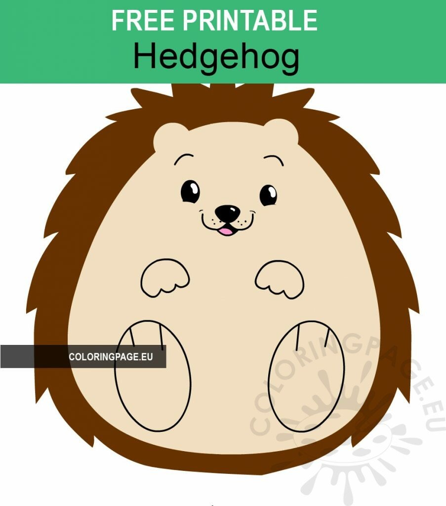 cute cartoon hedgehog