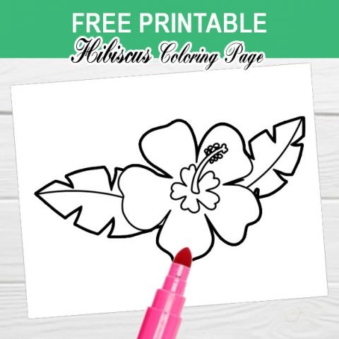 hibiscus flower coloring page