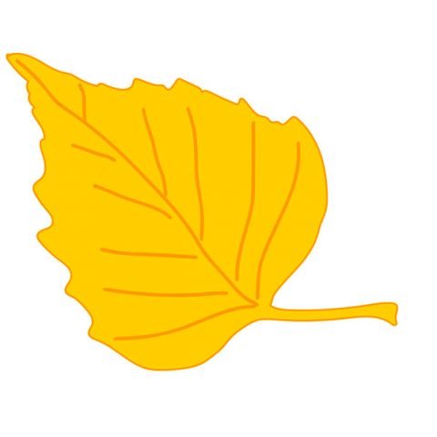Yellow Birch Leaf printable | Coloring Page