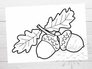 Acorns with leaves printable | Coloring Page