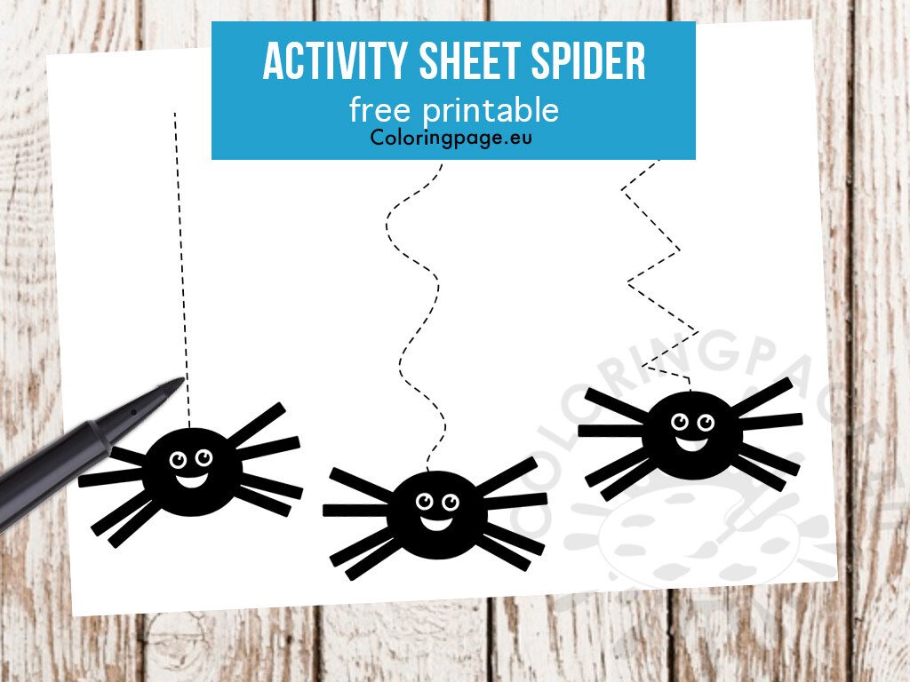 activity sheet spider