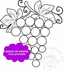 Bunch Grapes Fruit | Coloring Page