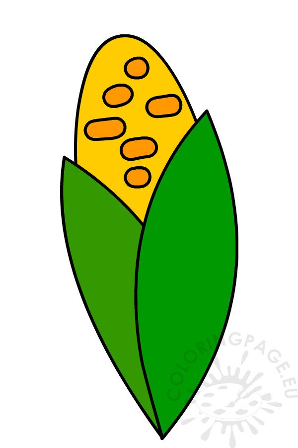 corn cob1