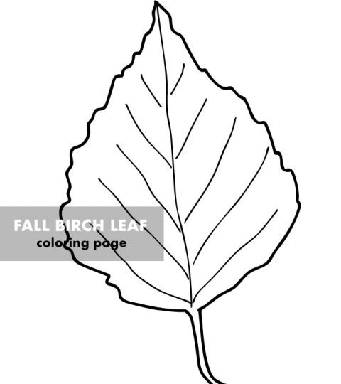Autumn – Coloring Page