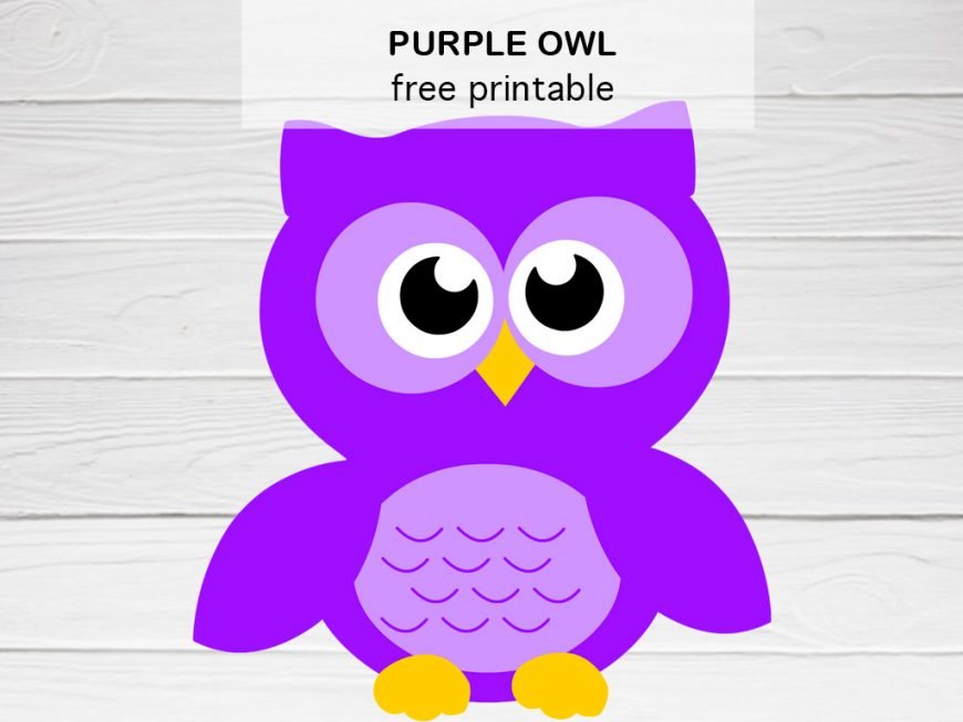 Lovely Purple Owl on white background | Coloring Page