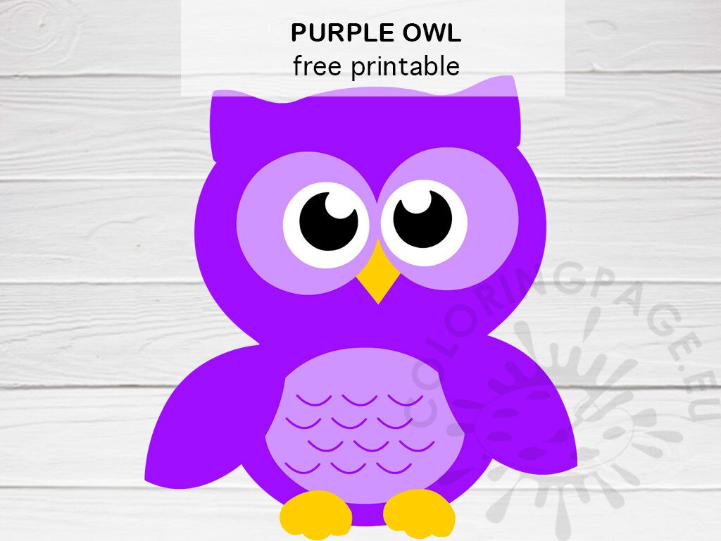 lovely purple owl