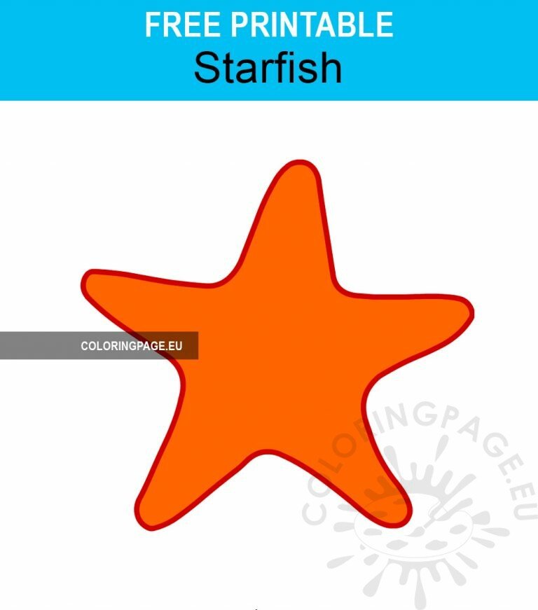 Orange Starfish vector art | Coloring Page