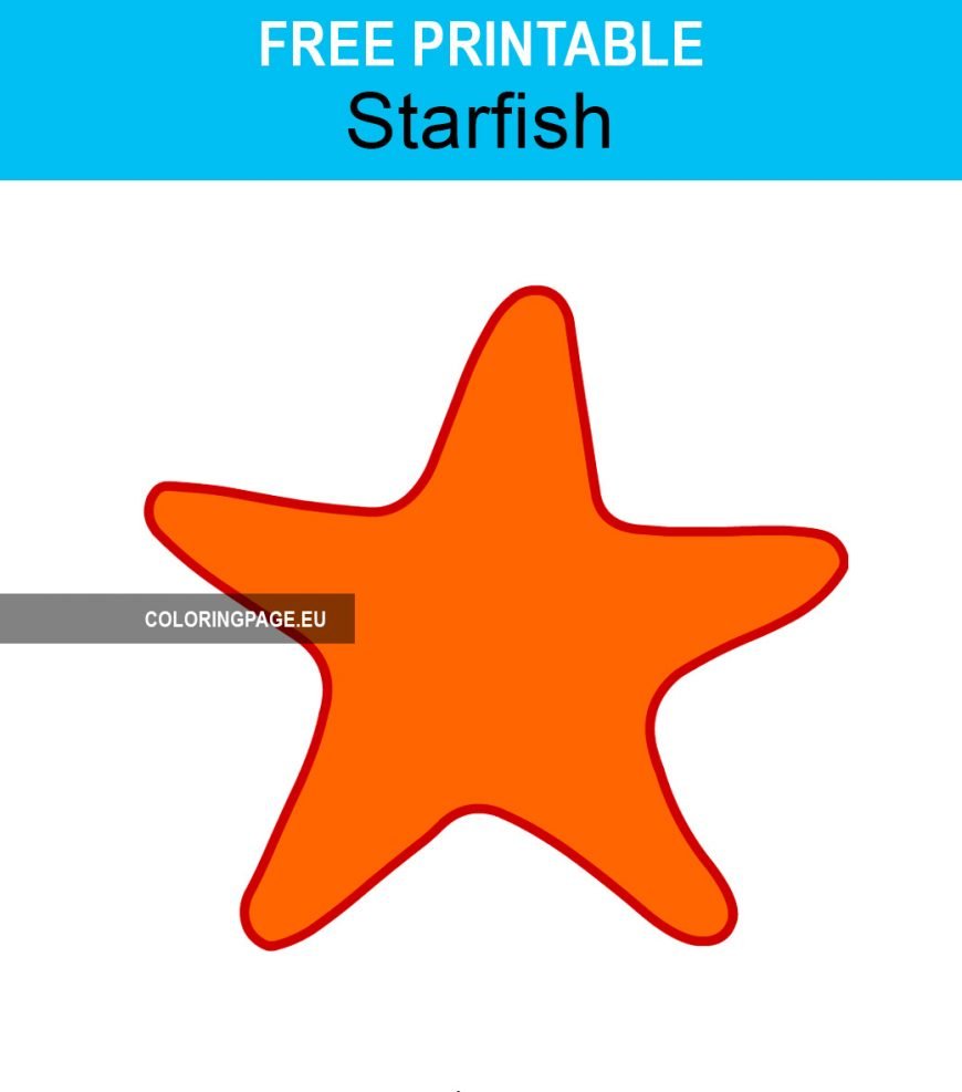 Orange Starfish vector art | Coloring Page