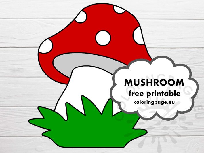 red white mushroom