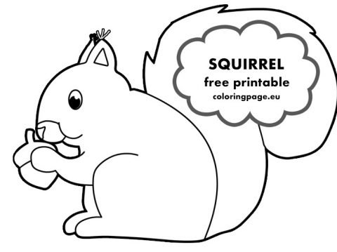 Free Squirrel holding an acorn - Coloring Page