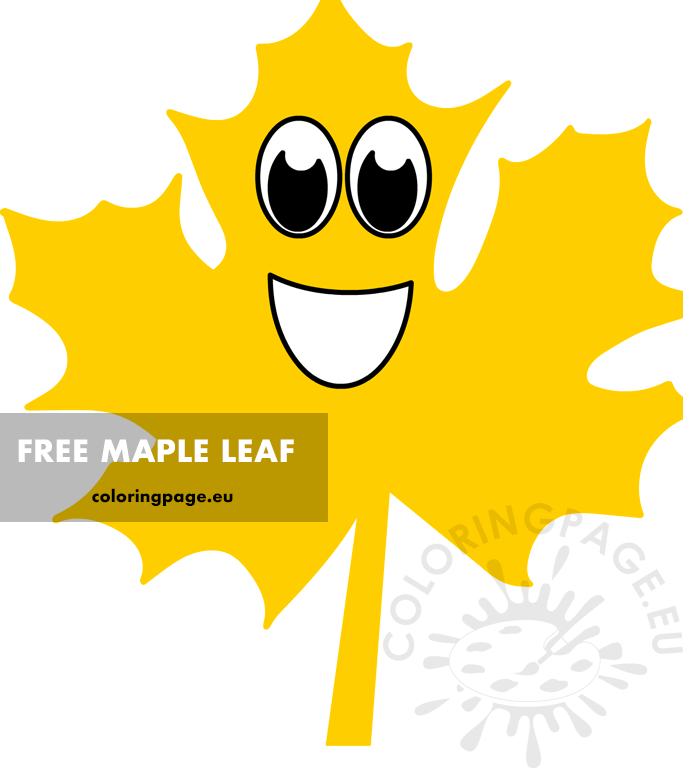 yellow maple leaf1
