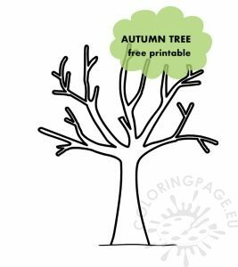 Autumn Tree Template | Coloring Page