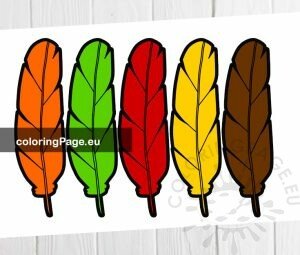 Colorful Thanksgiving feathers | Coloring Page