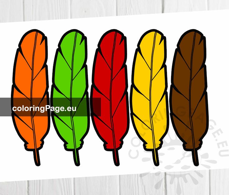 colorful thanksgiving feathers