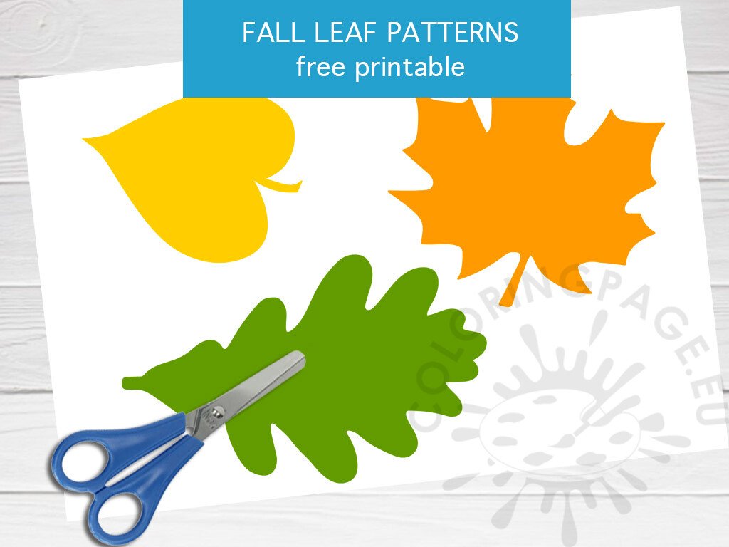 fall leaf patterns