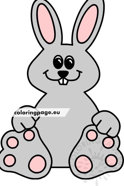 gray rabbit