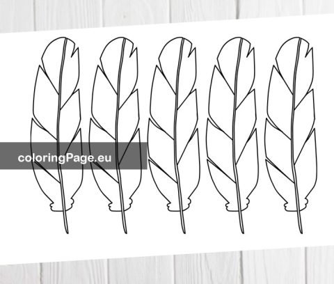 Thanksgiving Feathers template | Coloring Page