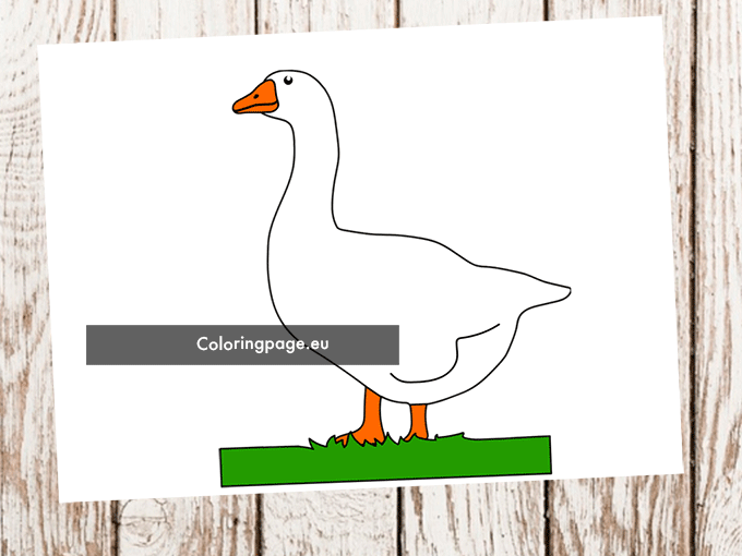 goose