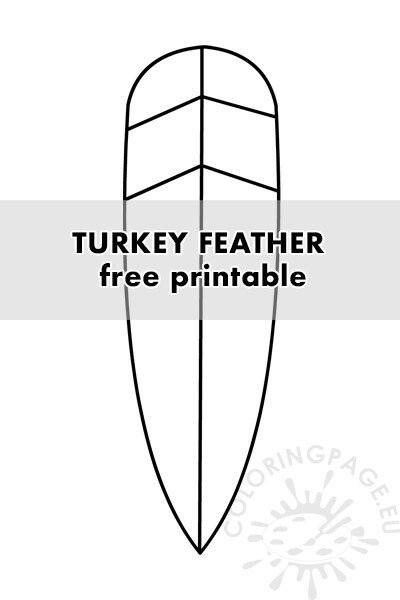 turkey feather shape
